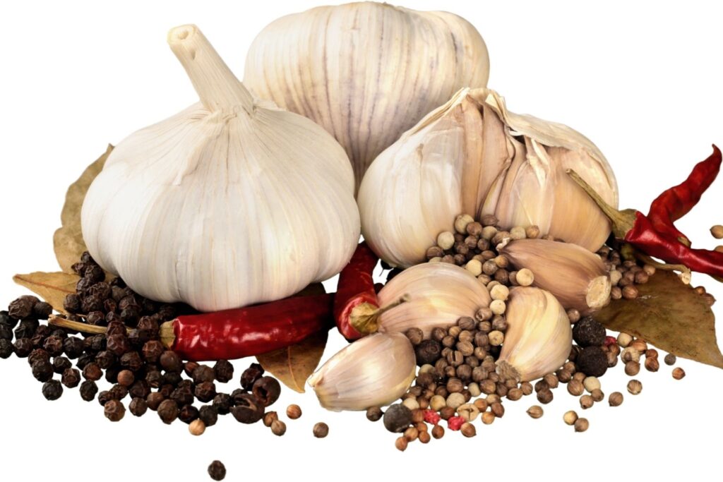 Cours de phytothérapie